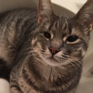 Meet your Posher, Madeline